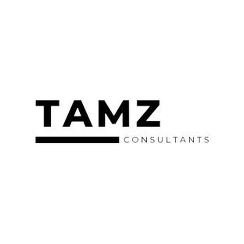 TAMZ Consultants - Strategic Business Consultancy