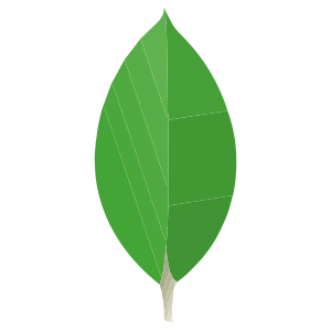 MongoDB
